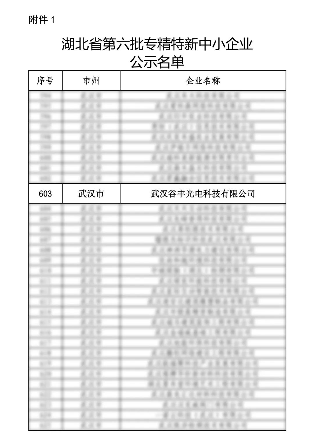 谷豐光電榮獲湖北省第六批專精特新中小企業(yè)認(rèn)定！